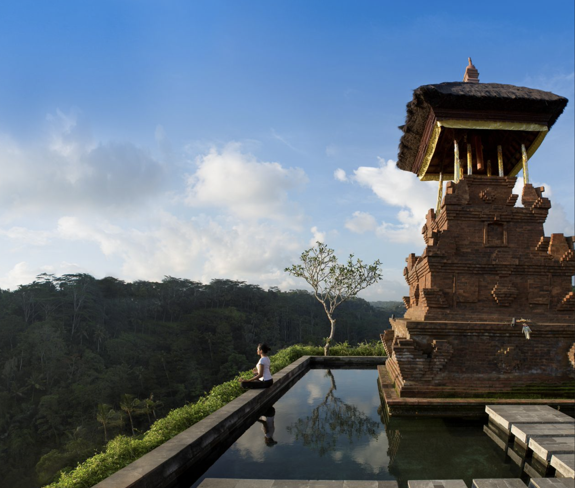 Mandapa, Indonesia