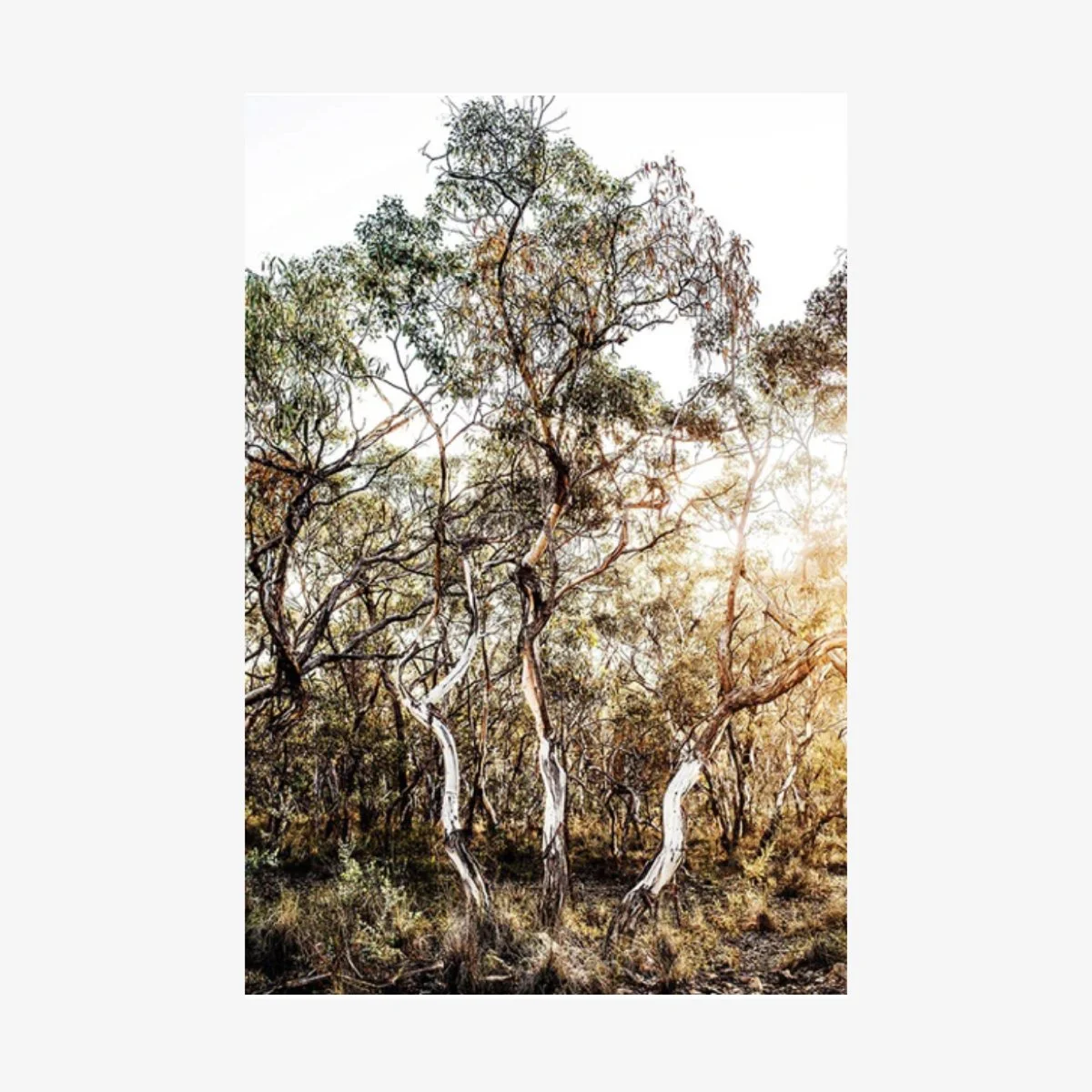 ‎Sejour Images Products.‎008.jpeg