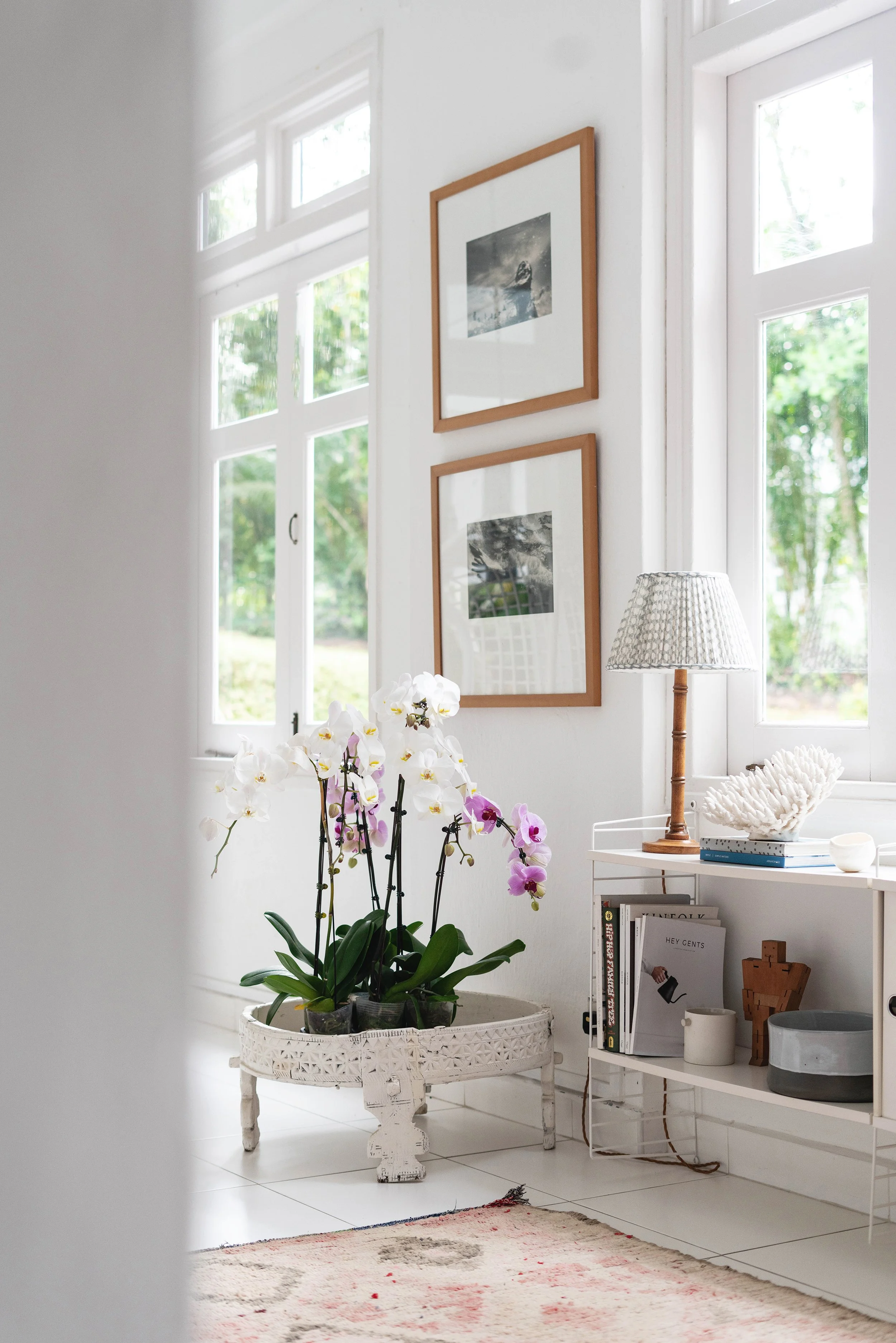 How to Style Orchids at Home