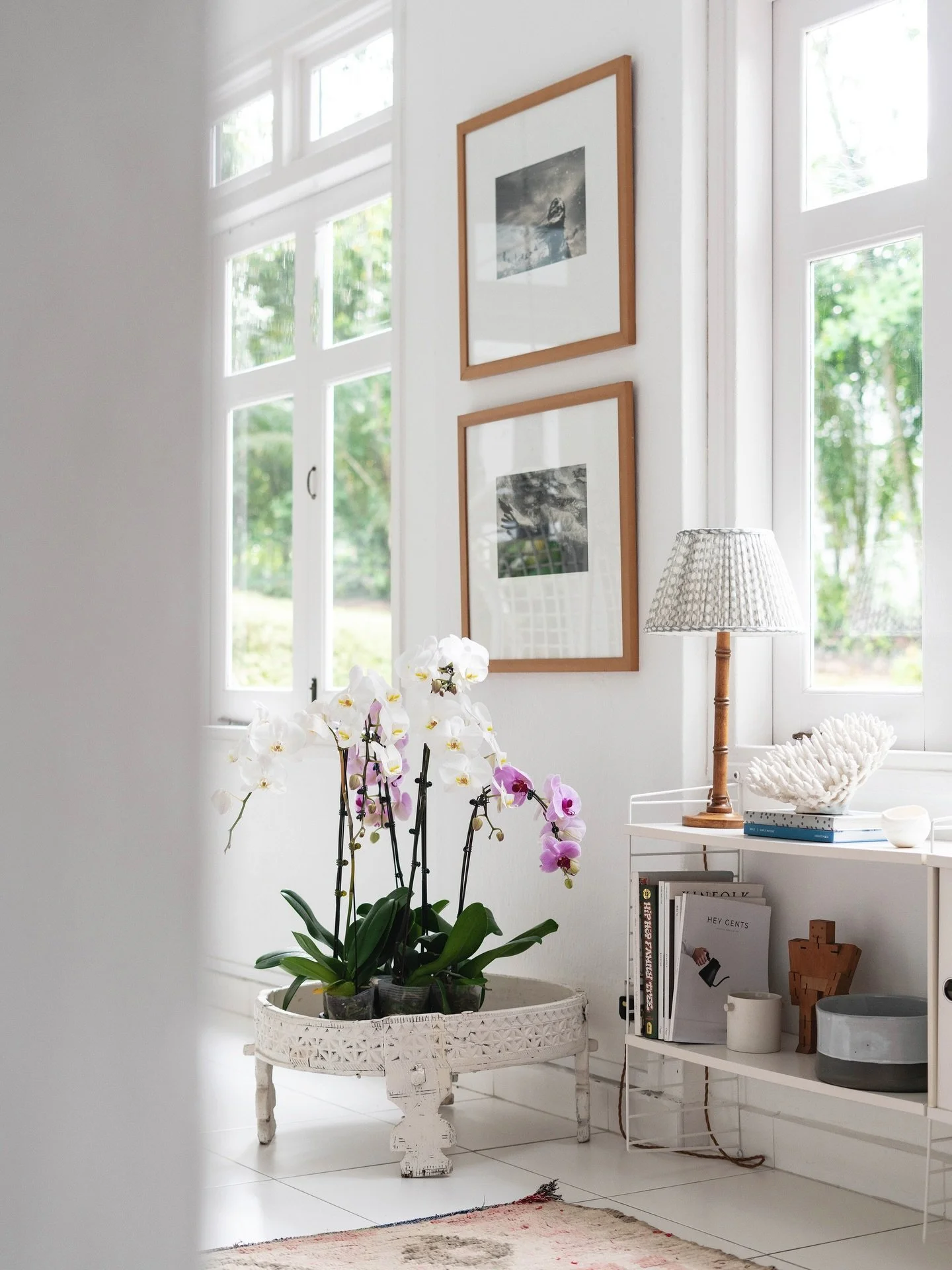 Some quick tips on where I buy orchids in Singapore and how I take care of them. 

Where to buy:
Candy. It&rsquo;s at the far end of the slip road that runs alongside Thomson Rd where all the nurseries are. Halfway inside Candy you&rsquo;ll come acro