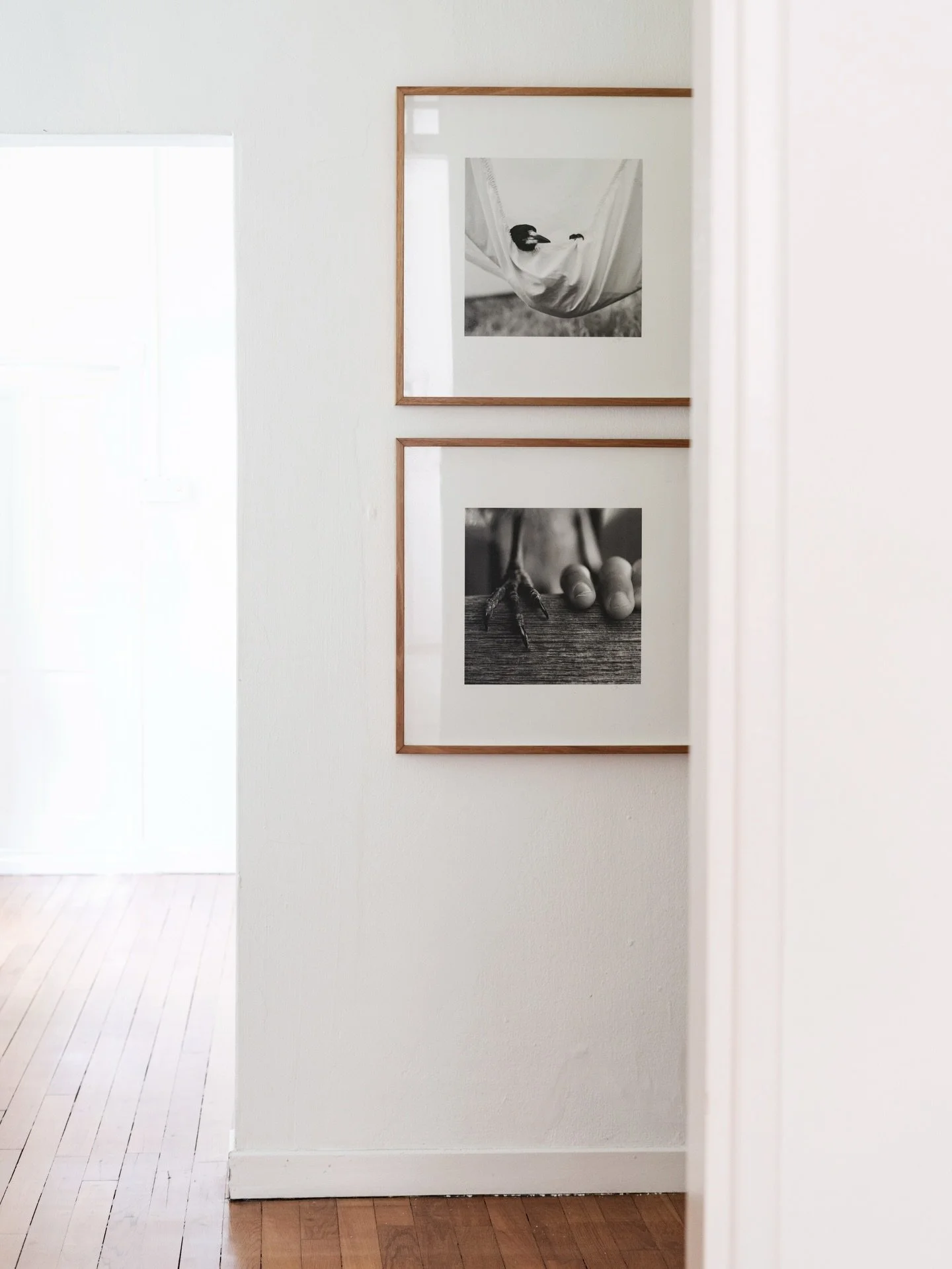 Should you style your home for yourself? or guests? It seems obvious enough - I&rsquo;m pretty sure everyone would agree that making interior styling choices for yourself and the members of your household - rather than guests that drop in from time t