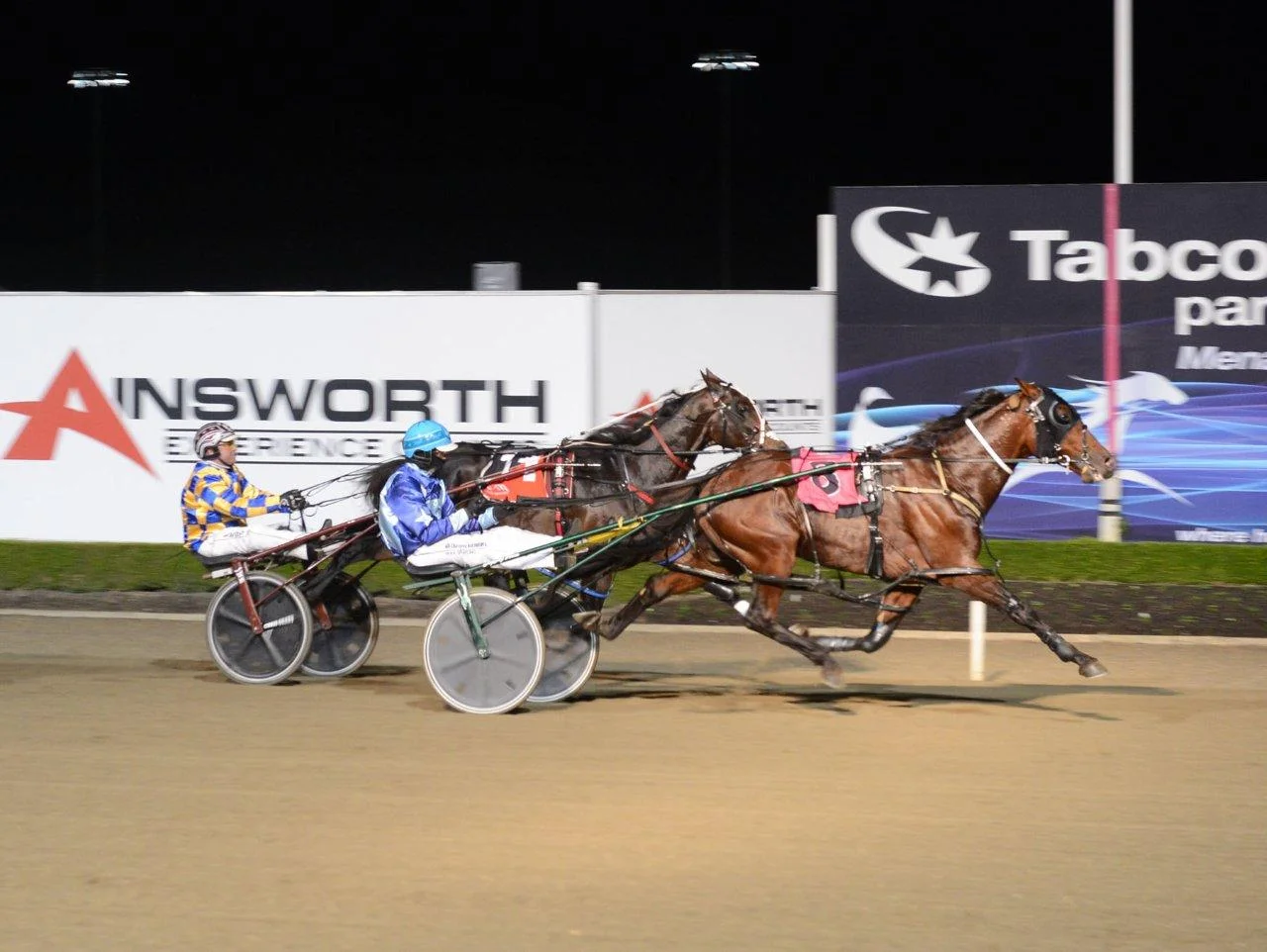 Photo Courtesy of National Trotguide