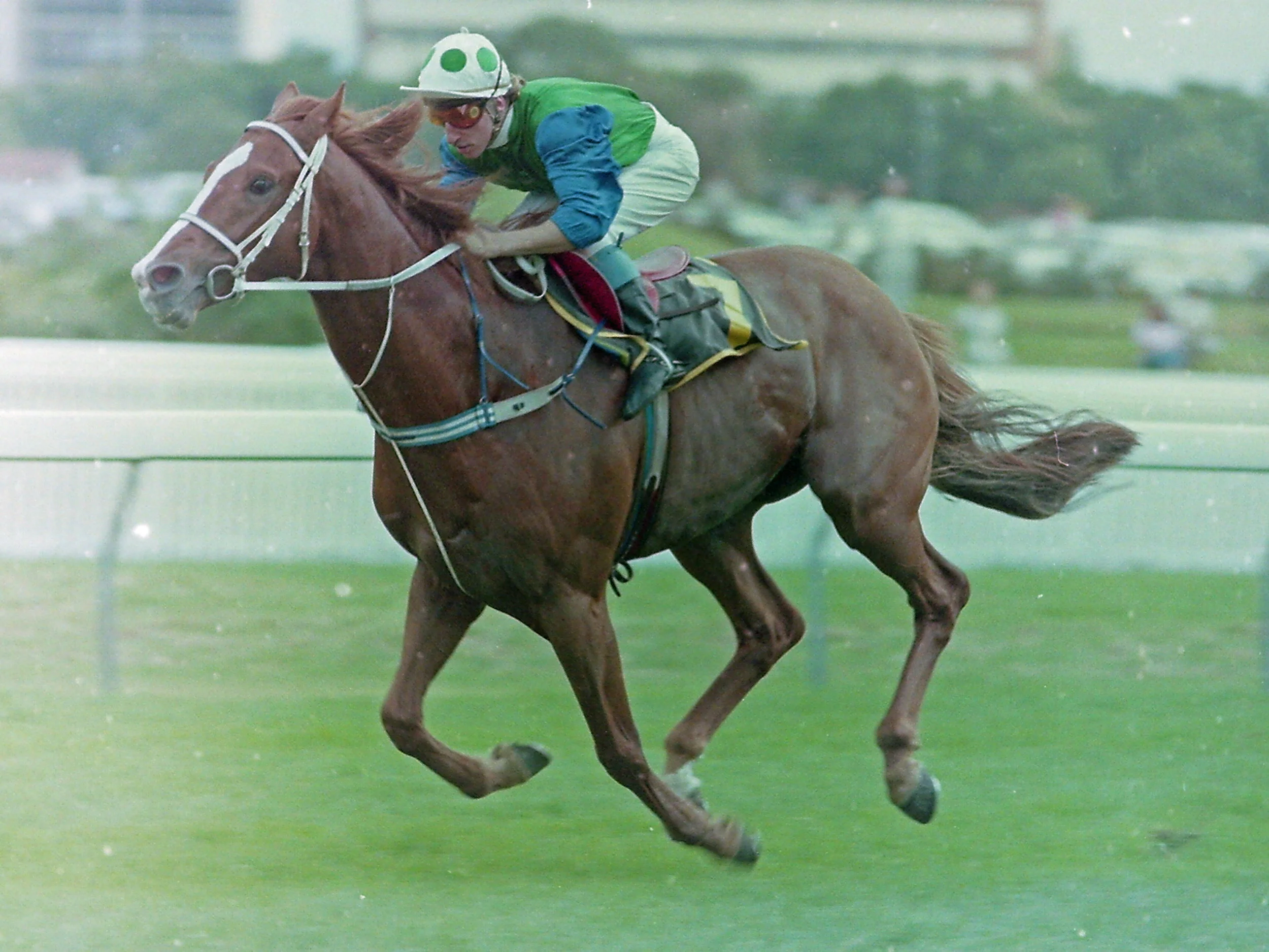 Image Courtesy of Steve Hart Photographics. Note the angle of his near foreleg. 
