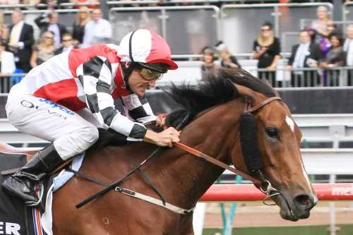 Hurtle Myrtle with Damien Oliver wins 2011 Myer Classic 