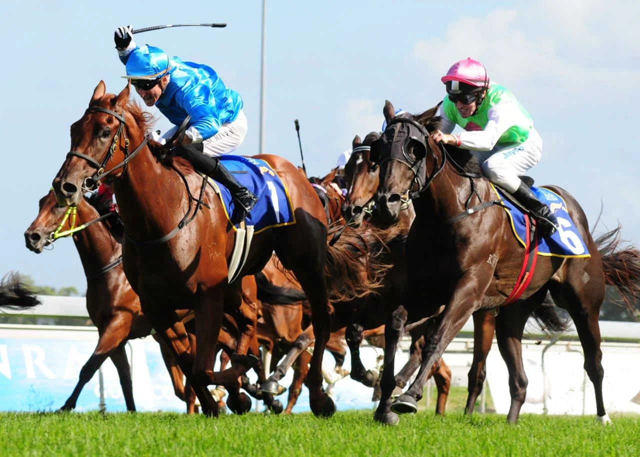 2009 Magic Millions - Image Courtesy of Trackside Photography