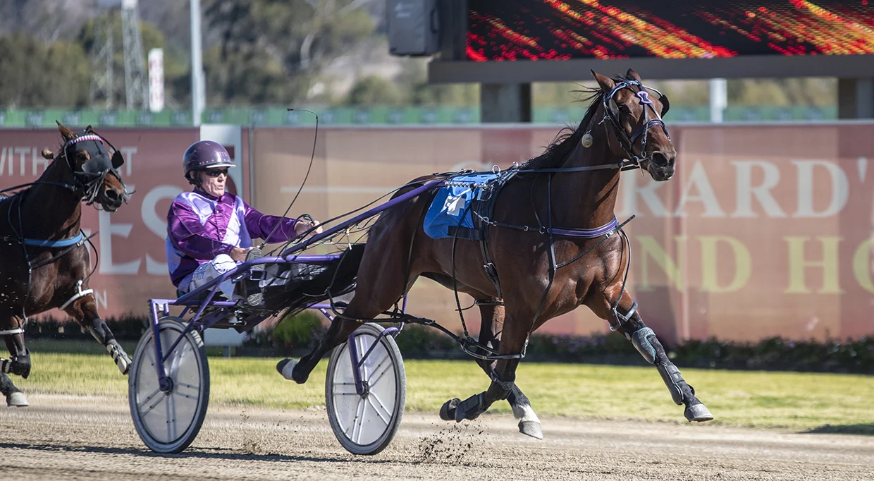 Jerada's Delight wins at Menangle 17/07/18