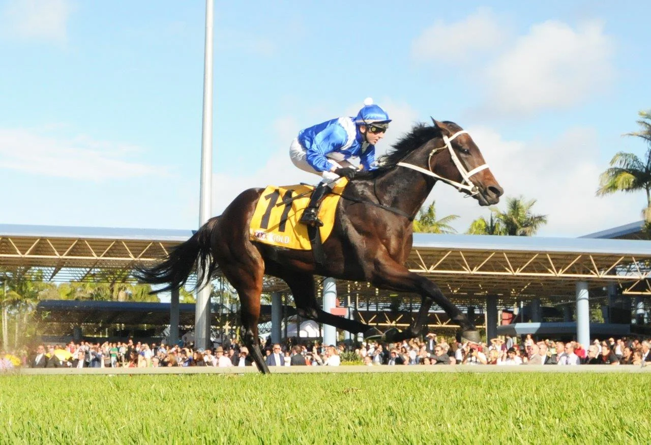 Image Courtesy of Trackside Photography - Larry Cassidy wins Sunshine Coast Guineas on Winx 2015