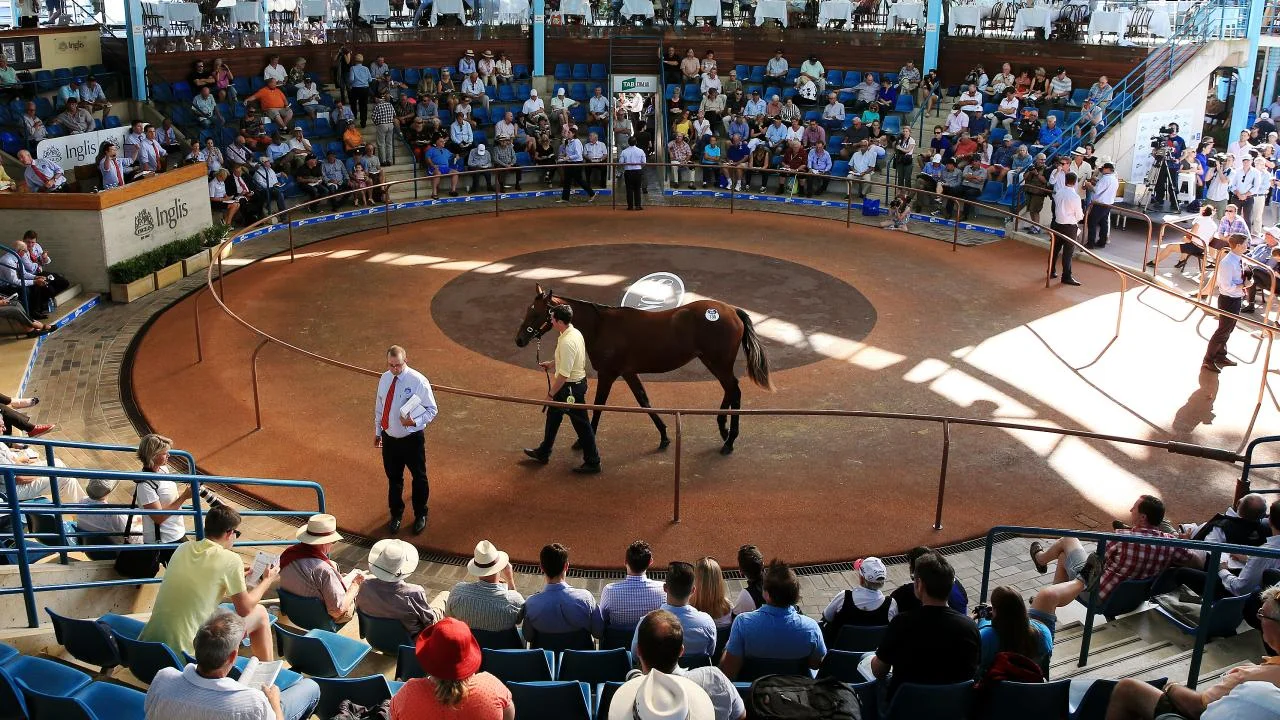 Episode 19: Tappy chats with Jemma Cutting