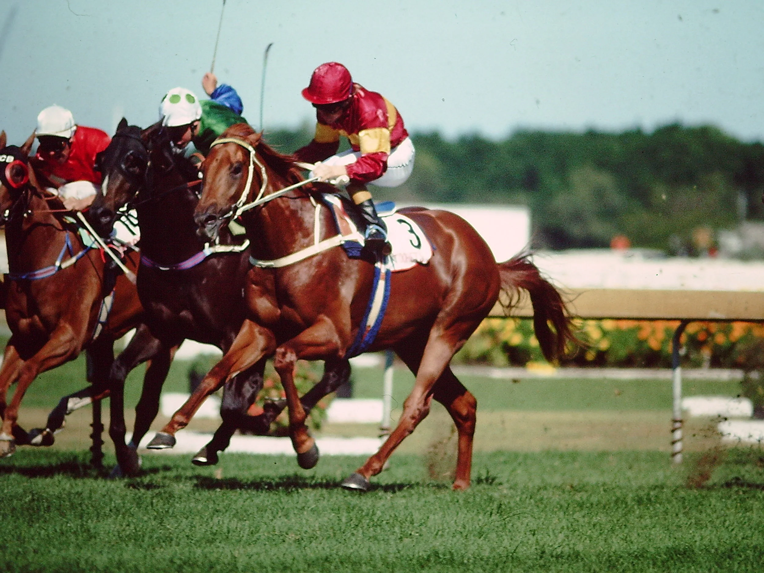 Image Courtesy of Steve Hart Photographics - Tierce wins 1991 Golden Slipper