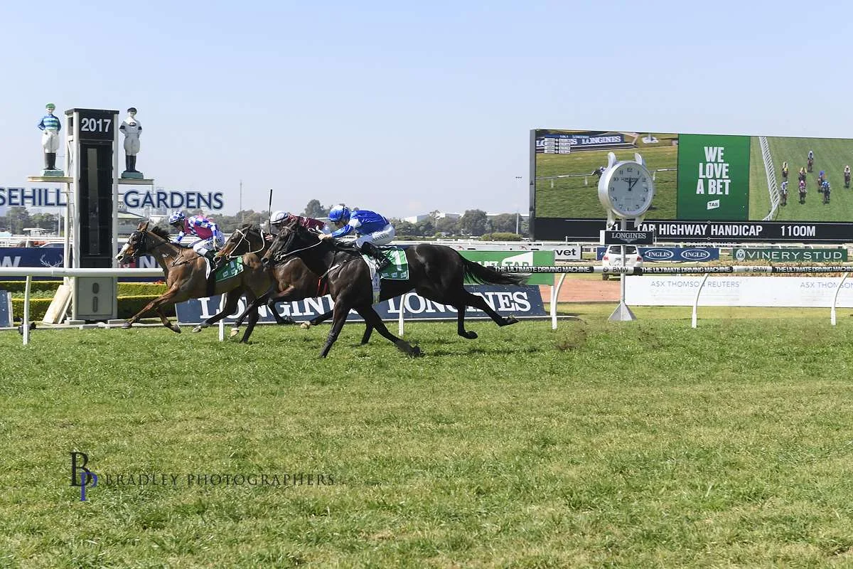 Image Courtesy of Bradley Photos - Mossman Gorge is one of Matt Dale’s numerous TAB Highway Winners