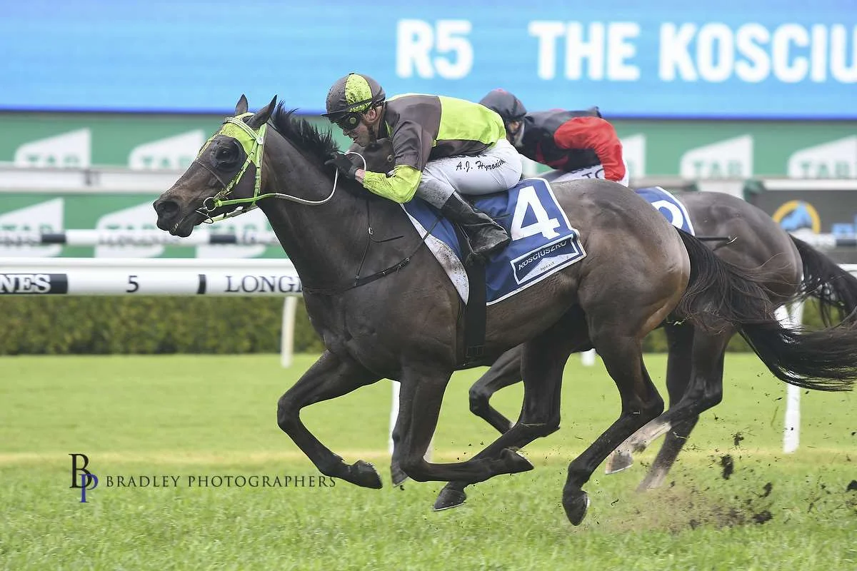 Image courtesy of Bradley Photographers - BELFLYER wins The Kosciuzsko.