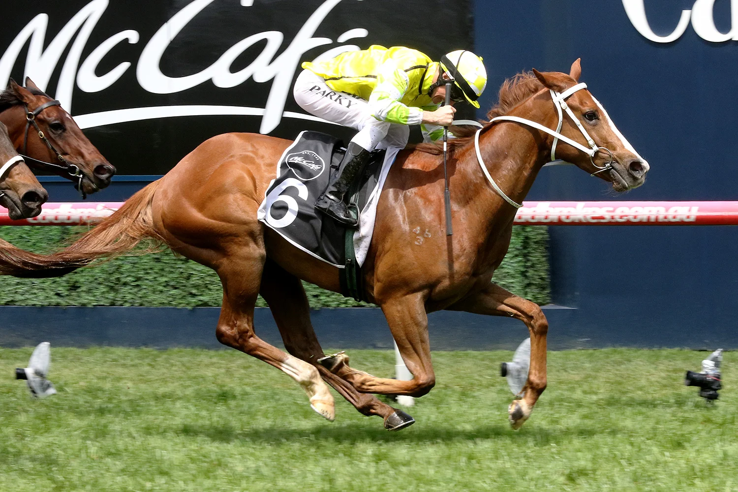 Image courtesy Darryl Sherer - Eduardo and Brian Park are ‘Airborne’ in the Caulfield Sprint.