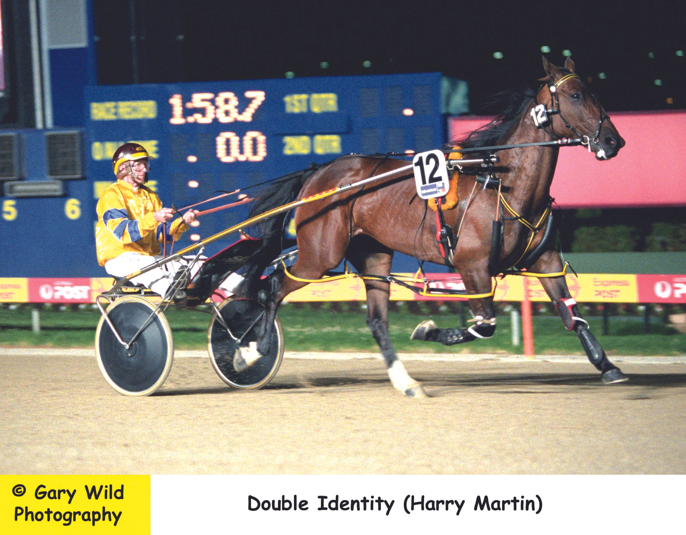 Image courtesy National Trotguide - Double Identity warms up before the Victoria Cup