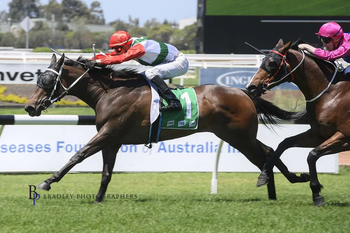 Image courtesy Bradley Photographers - Nick Heywood wins the TAB Highway on Handle The Truth 3/11/2018