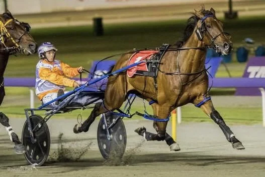 San Carlo wins Gloucester Park Inter Dom heat 2017