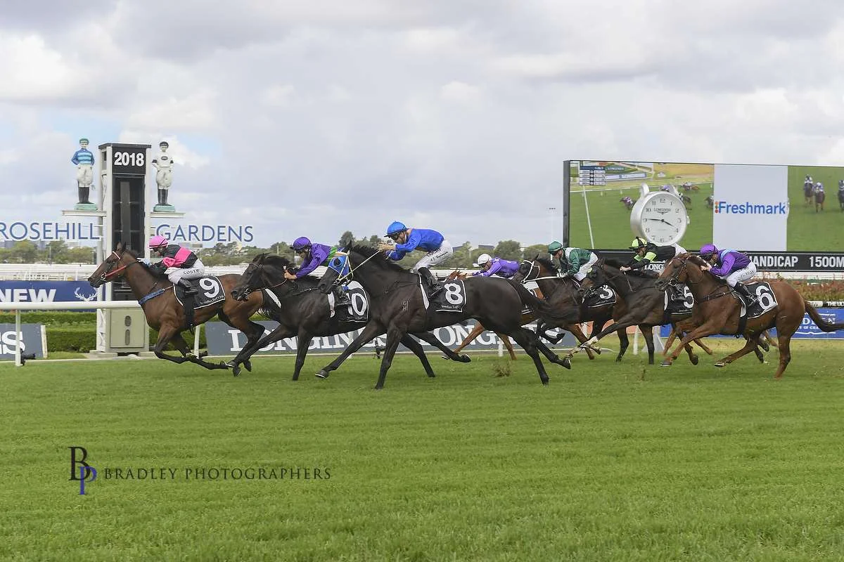 Image courtesy Bradley Photographers - Winona wins on Bye See for former boss Mick Tubman.