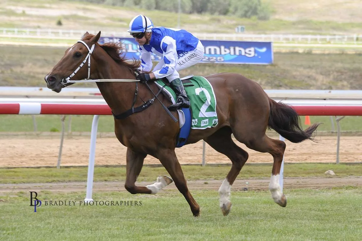 Image courtesy Bradley Photographers - Noble Boy canters home at Goulburn - win number 2.