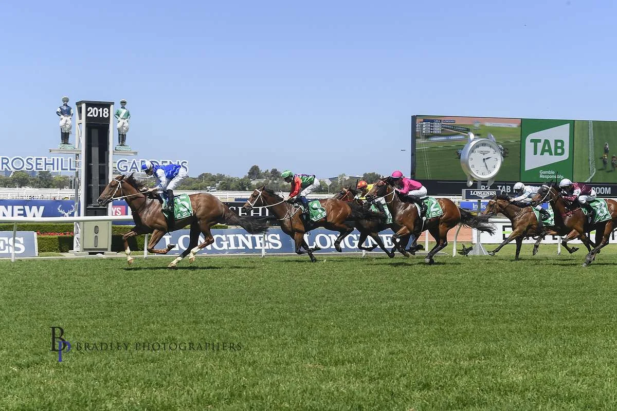 Image Courtesy Bradley Photographers - Noble Boy completes the hat trick.