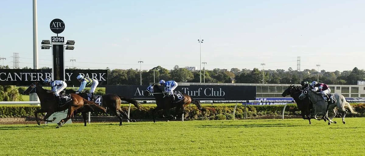 Image courtesy Bradley Photographers - Are You Sure and Nash Rawiller win at Canterbury 23/04/2014.