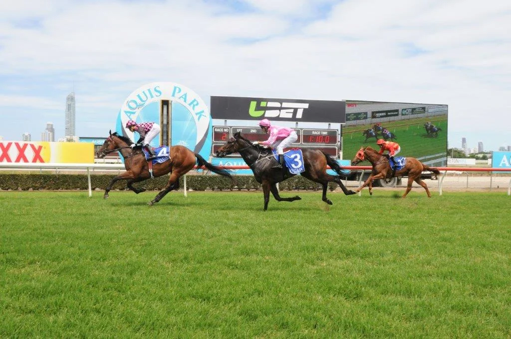 Image courtesy Trackside Photography - Michael wins on the Rob Heathcote trained Femme Fireball.