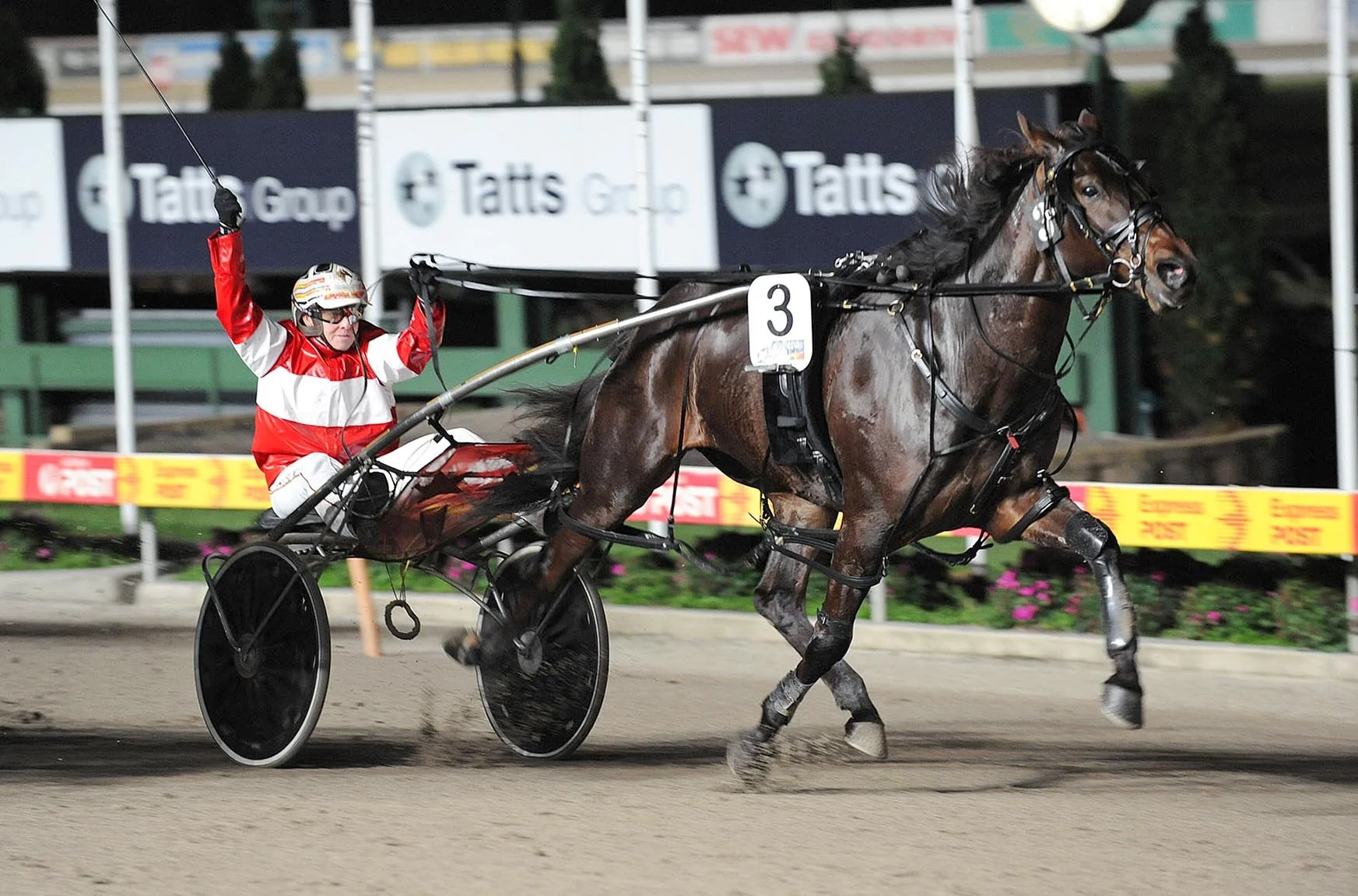 Image courtesy National Trotguide - Villagem in full flight wins the VICBRED 3YO Final .