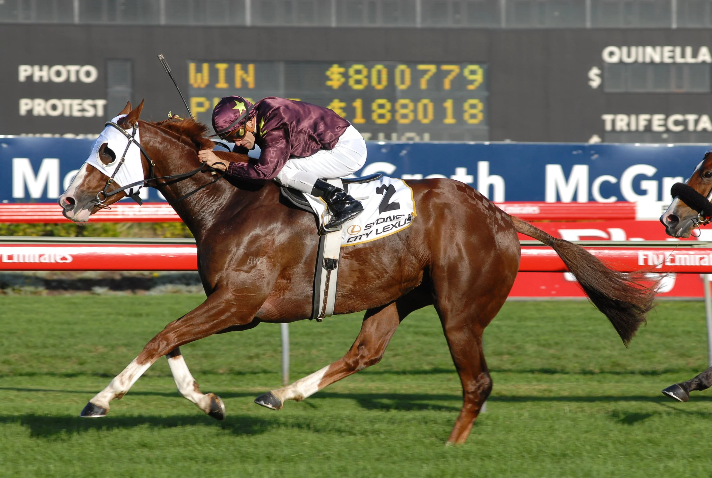 Image courtesy Steve Hart Photographics - One of Apache Cat’s 8 Group One wins - the 2008 T.J. Smith at Randwick.