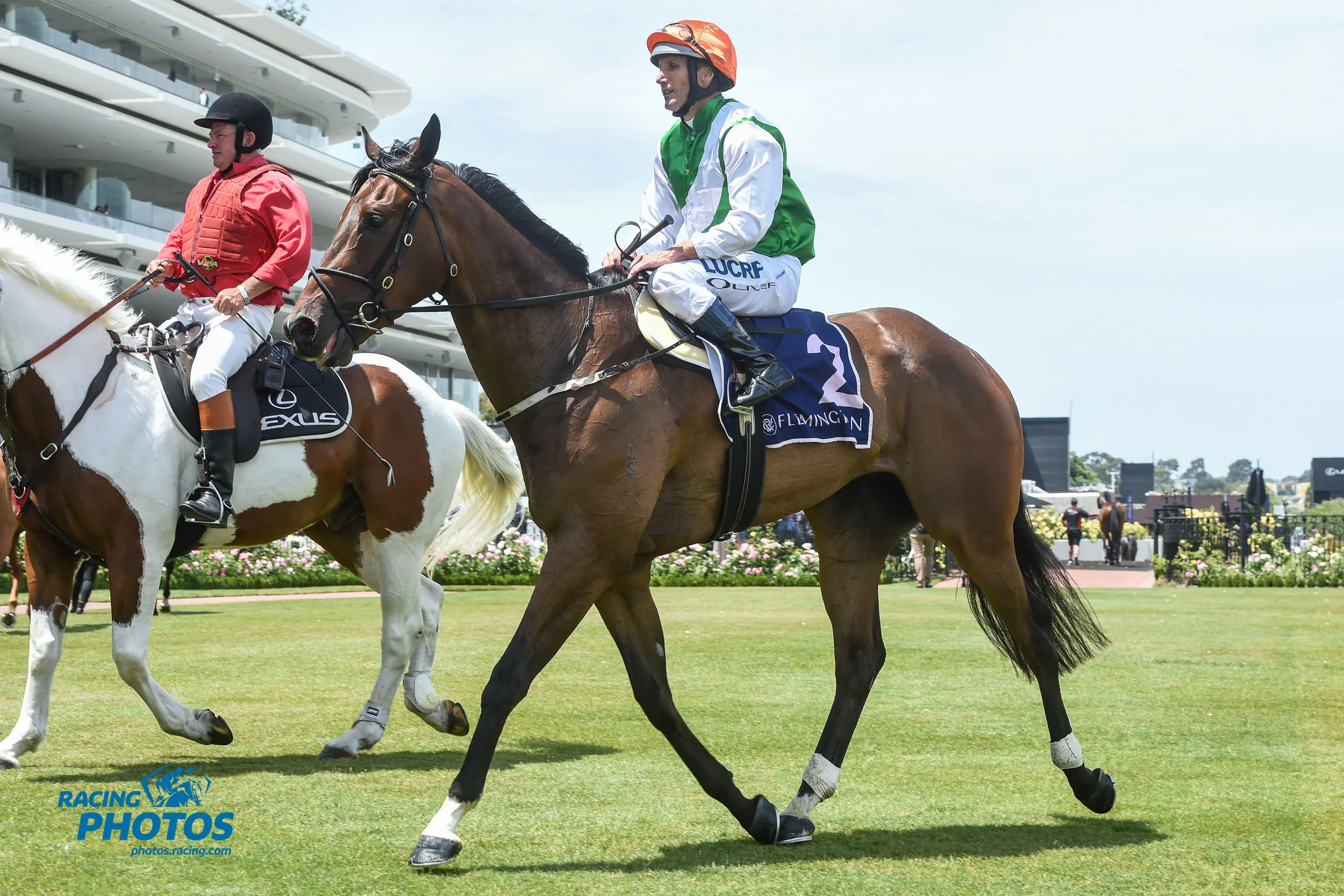 Image courtesy Racing Photos - O’Tauto returns to scale at Flemington 12/01/2019.