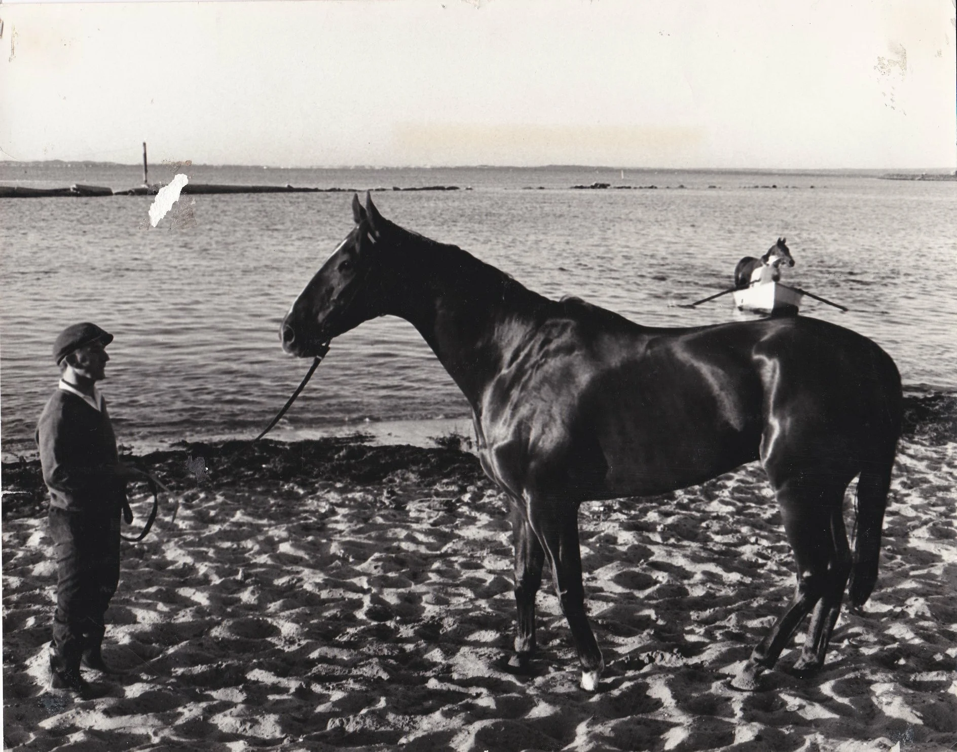 FORESIGHT ON THE SHORES OF BOTANY BAY