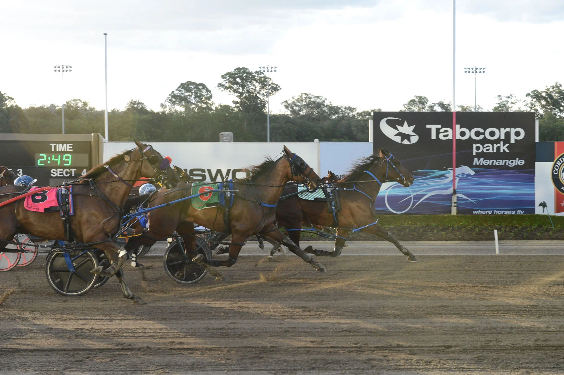 Image courtesy Lett Photography - Goodtime Slater gives Joe a training success at Menangle.