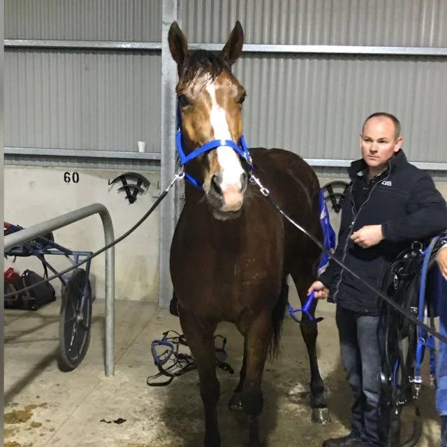 Joe with Im Intense in the stabling area at Penrith.