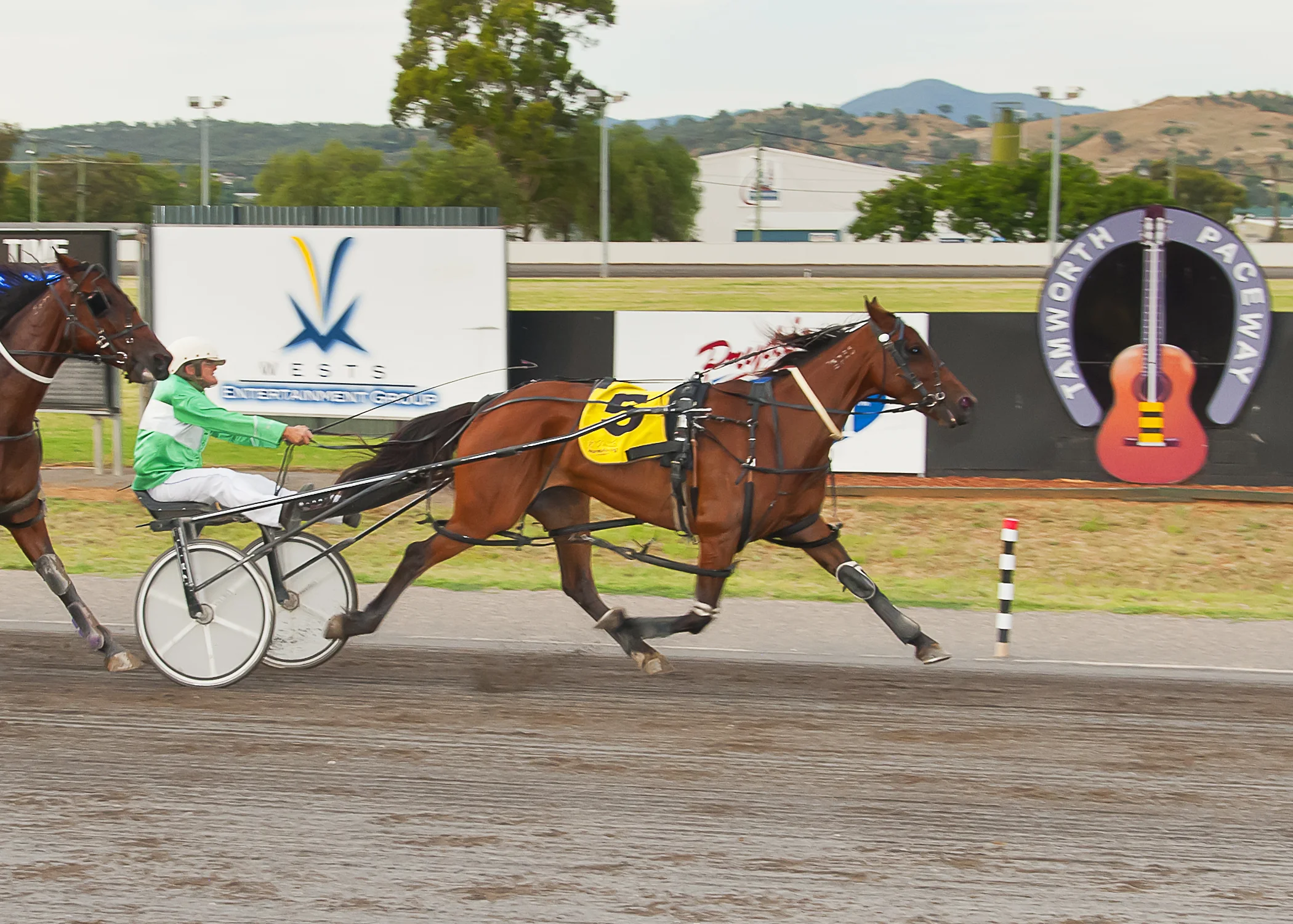 Image courtesy PeterMac Photography - Julie wins on Pepperal at Tamworth.