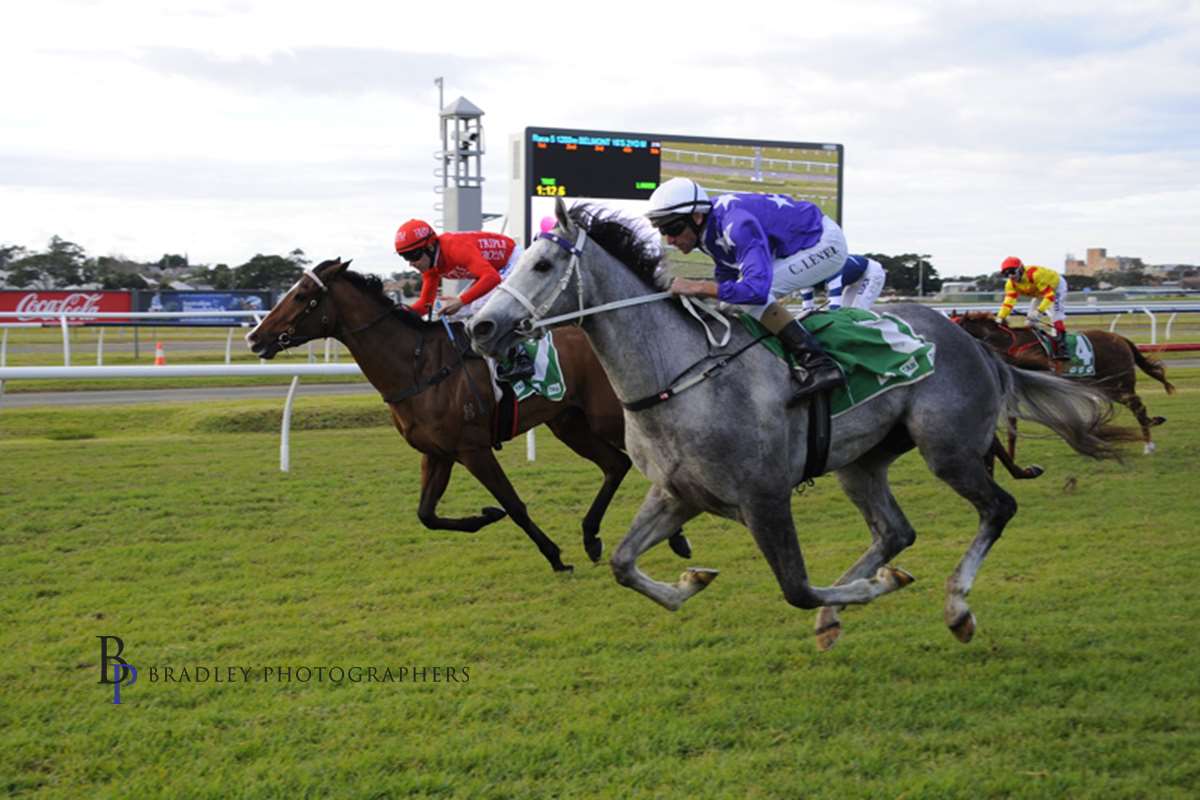Image courtesy Bradley Photographers - Chad gets D’argento’s career started in a 2yo maiden at Newcastle.