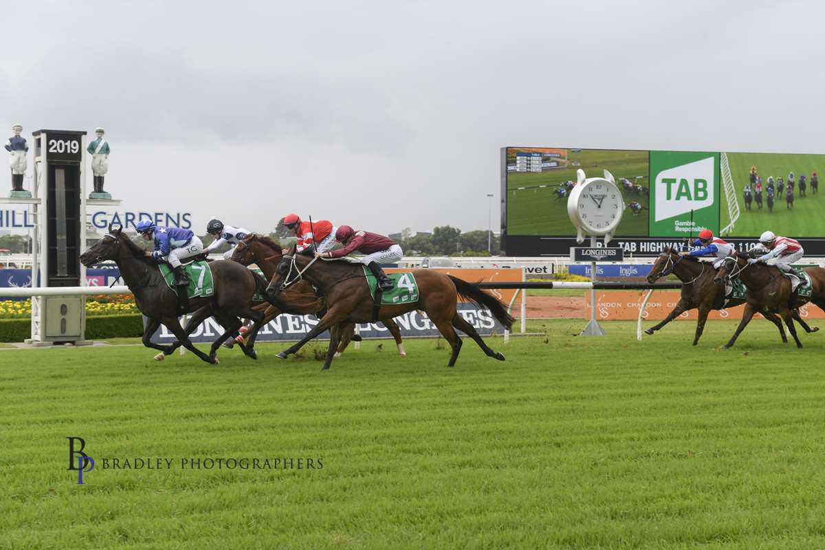 Image courtesy Bradley Photos - Zardoro wins from Caprera (inside) with Sunlit (wide out) and Burning Crown (red colours).