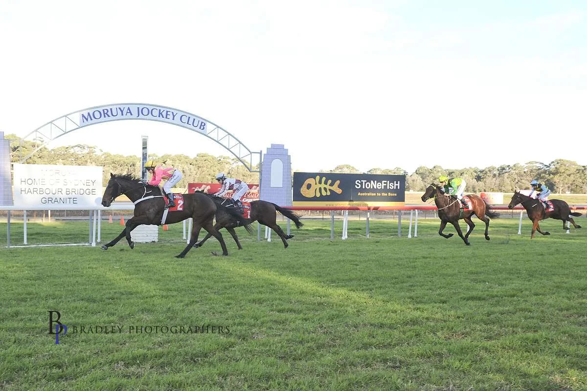 Image courtesy Bradley Photographers - Tash Burleigh wins the Bateman’s Bay Cup on Baldovino at Moruya 29/6/2014.