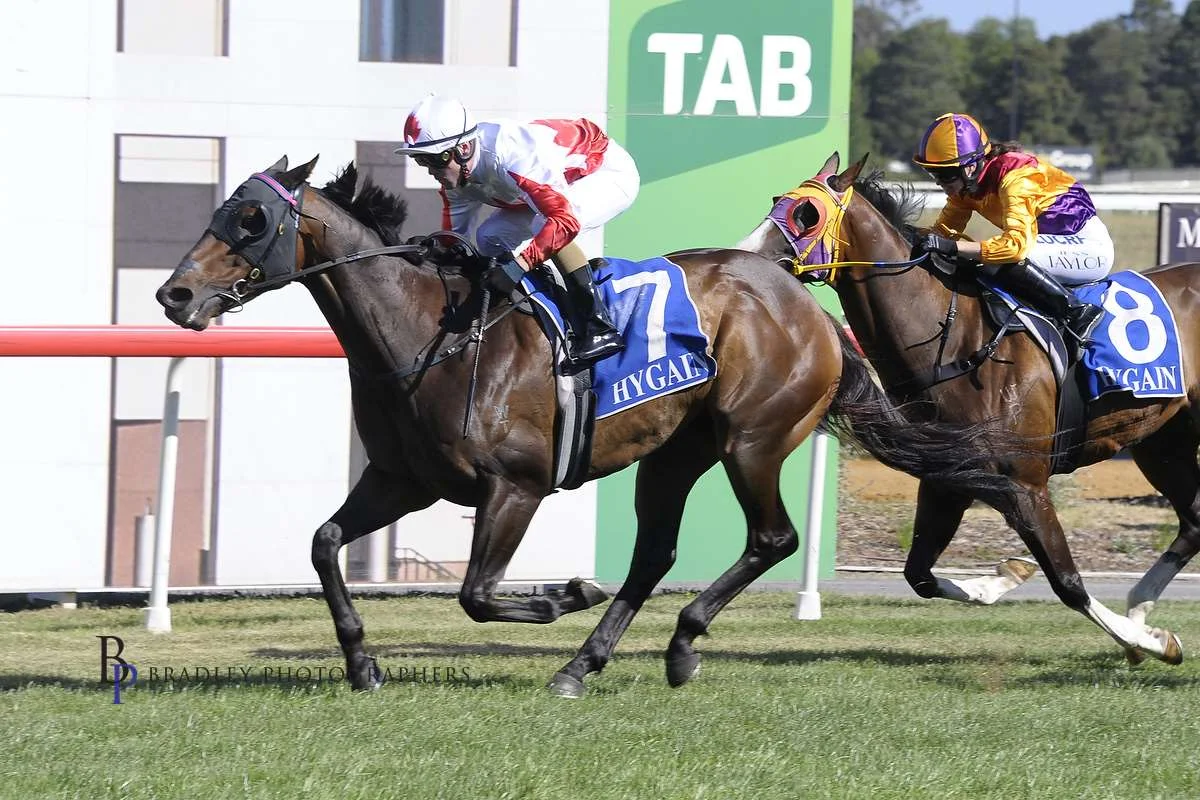 Image courtesy Bradley Photographers - Lucky Prospector wins at Canberra for the Burleigh stable 22/2/2019.