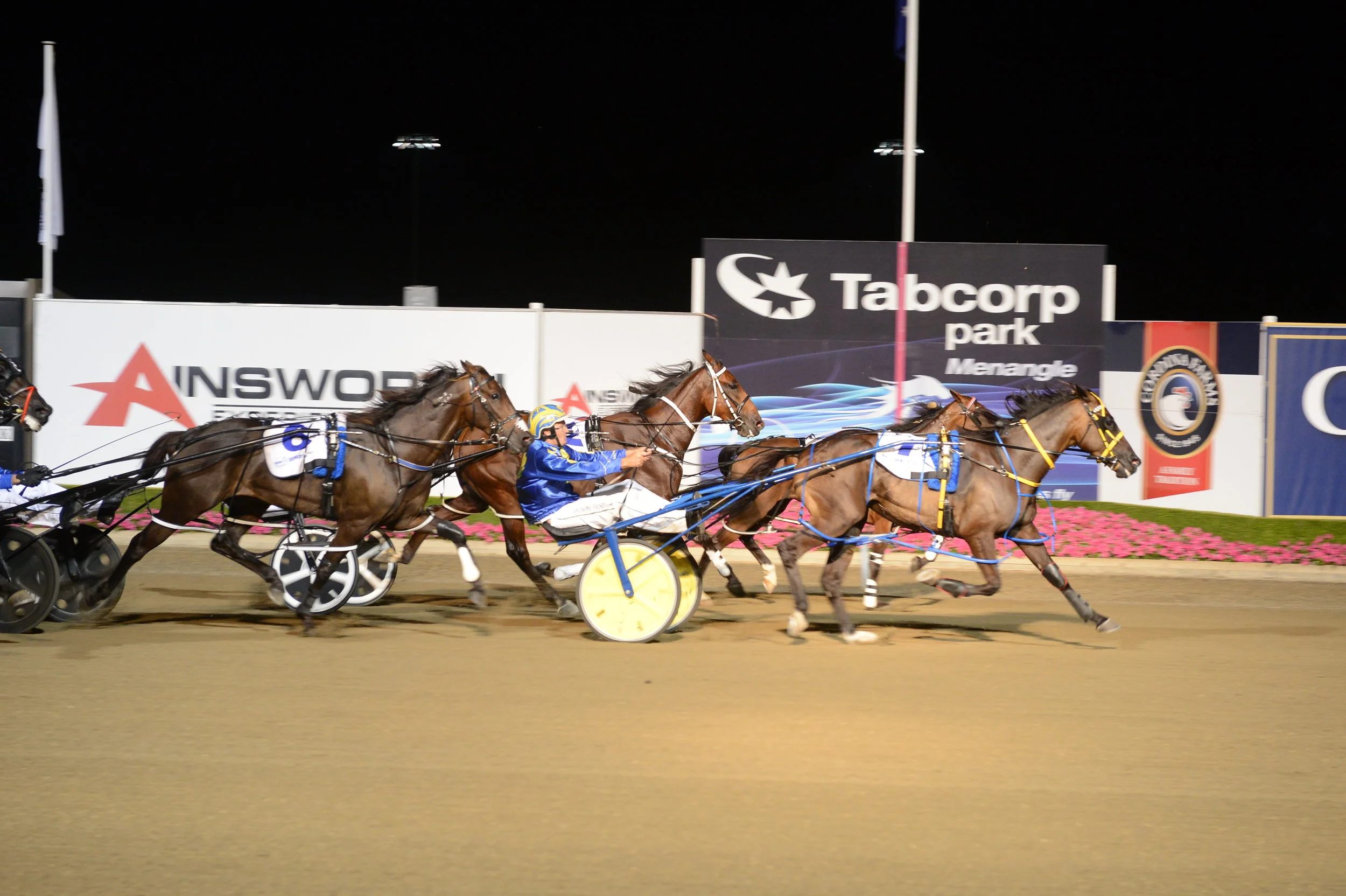 Image courtesy National Trotguide - Our Uncle Sam holds out fast finishing Ellmers Image to win the Bohemia.