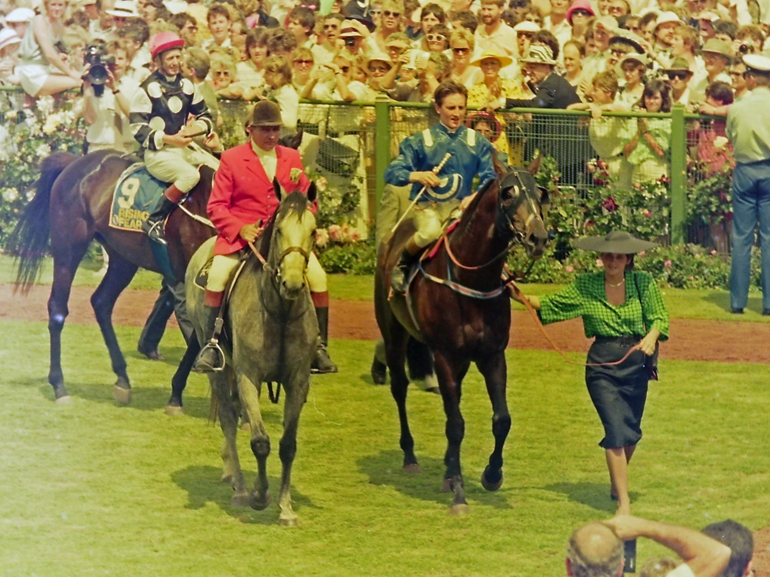 Image courtesy Steve Hart Photographics - At Talaq returns to scale after the 1986 Melbourne Cup.