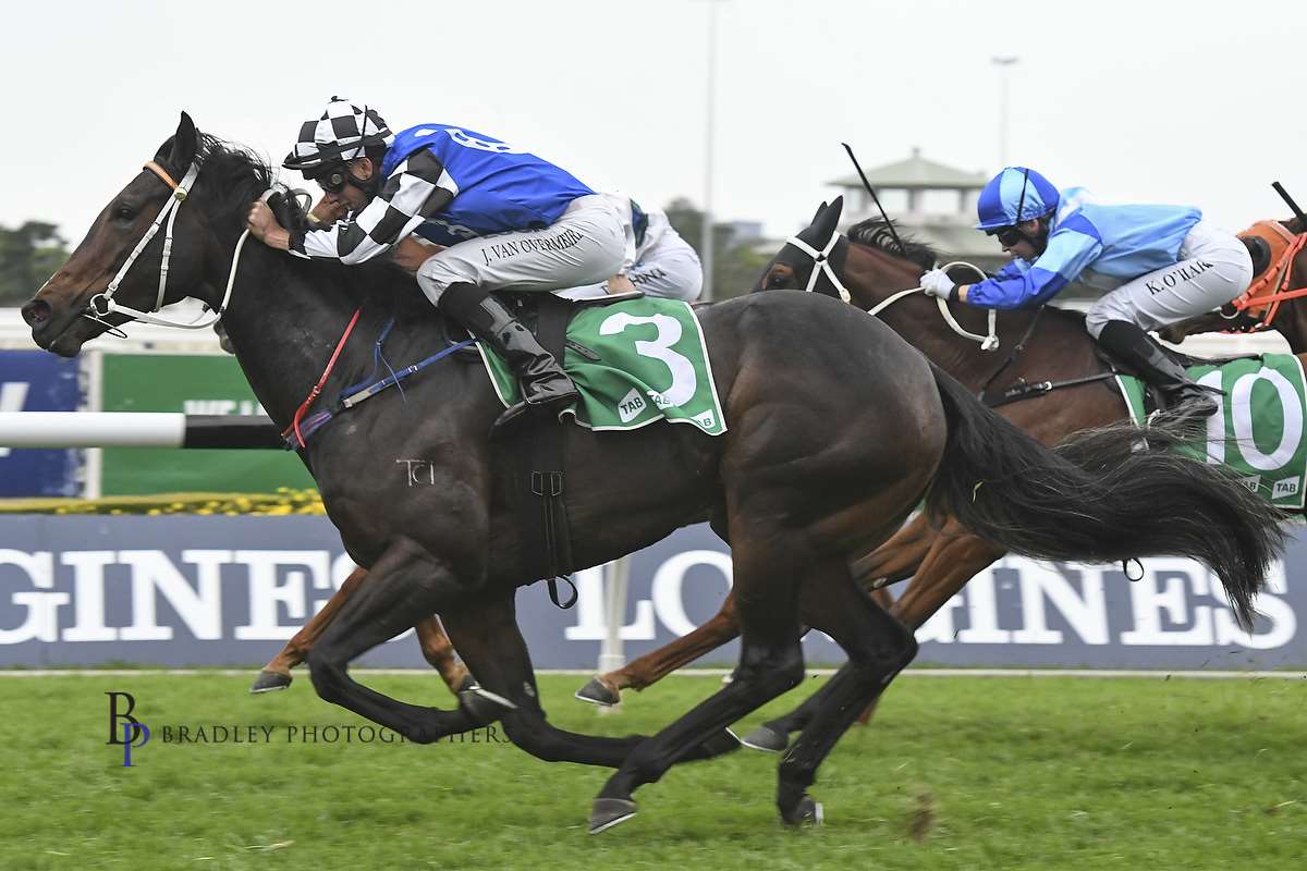 Image courtesy Bradley Photographers - Princess Posh wins at Rosehill with Jean Van Overmeire 02/06/2018.