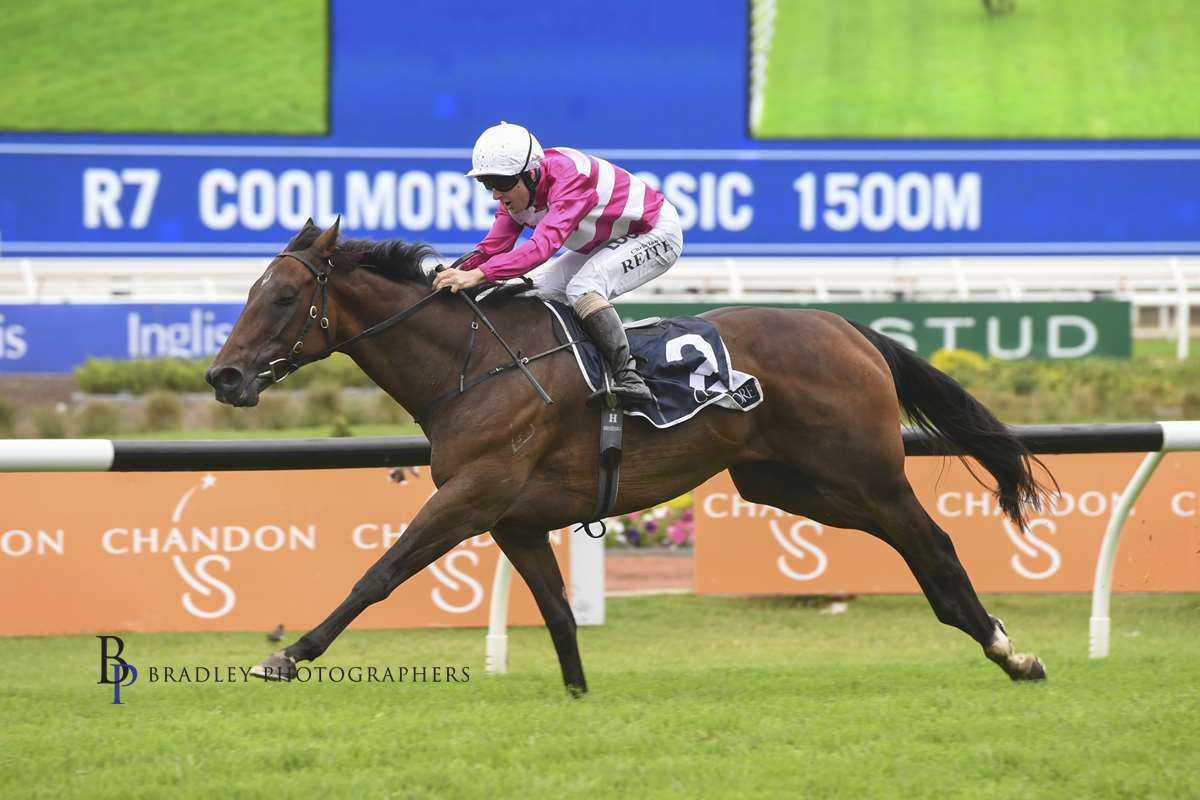 Image courtesy Bradley Photographers - Dixie and Christian Reith had the Coolmore to themselves.