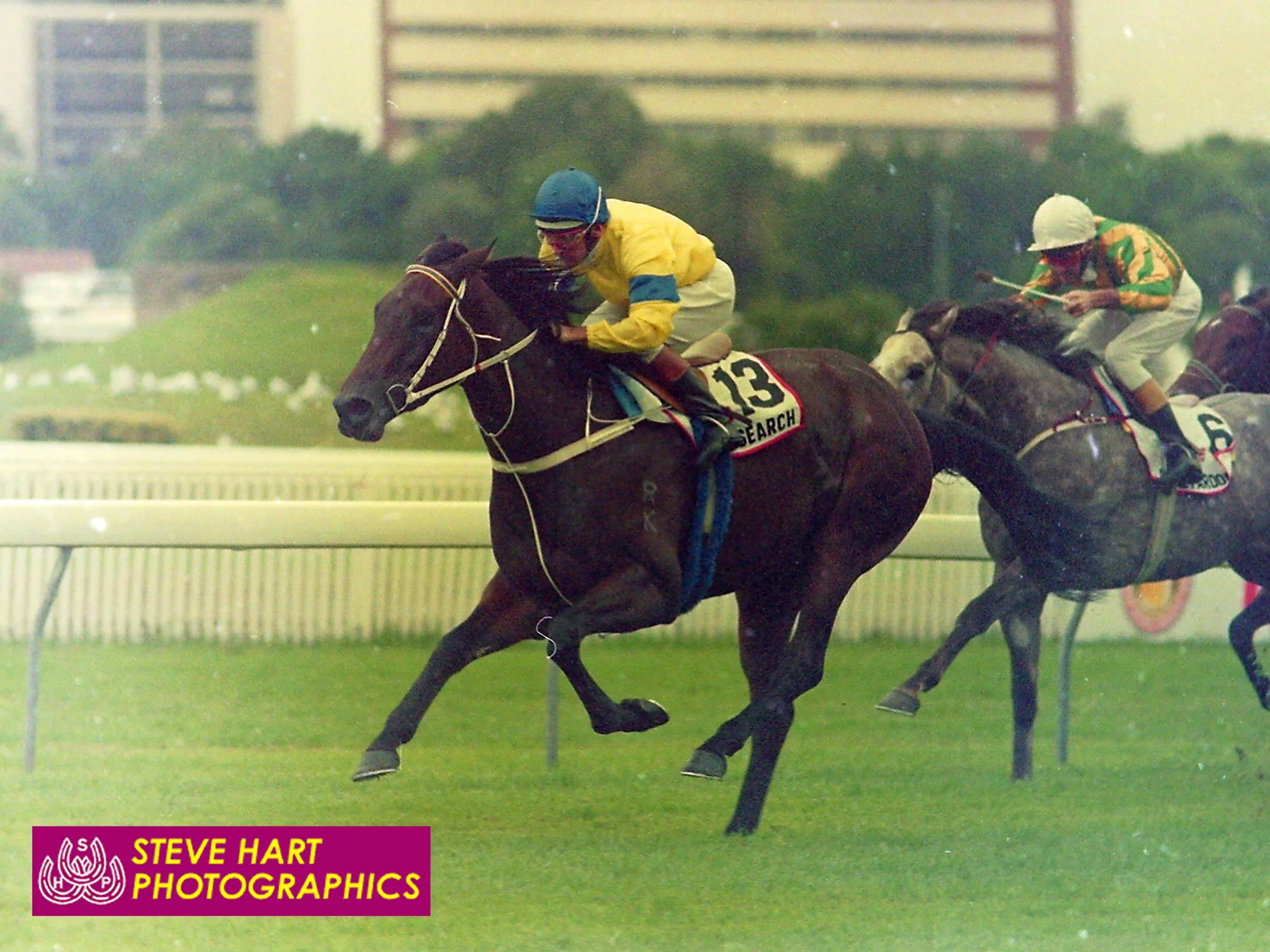 Image courtesy Steve Hart Photographics - Another angle of Research defeating Royal Pardon in the AJC Derby.