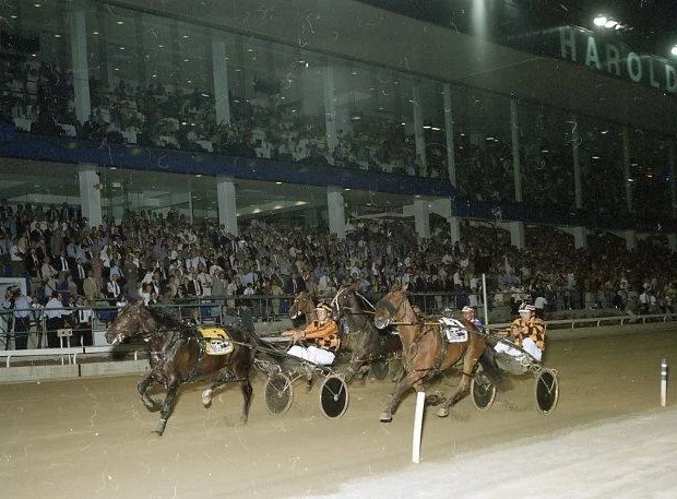 Image courtesy National Trotguide - With Brian Hancock under suspension, Howard snared the winning drive on Our Sir Vancelot 1997 Miracle Mile.