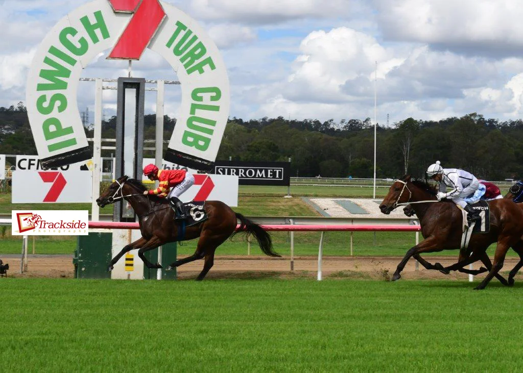 KEVIN KEMP HOPES THE JIM ATKINS LONGEVITY RUBS OFF