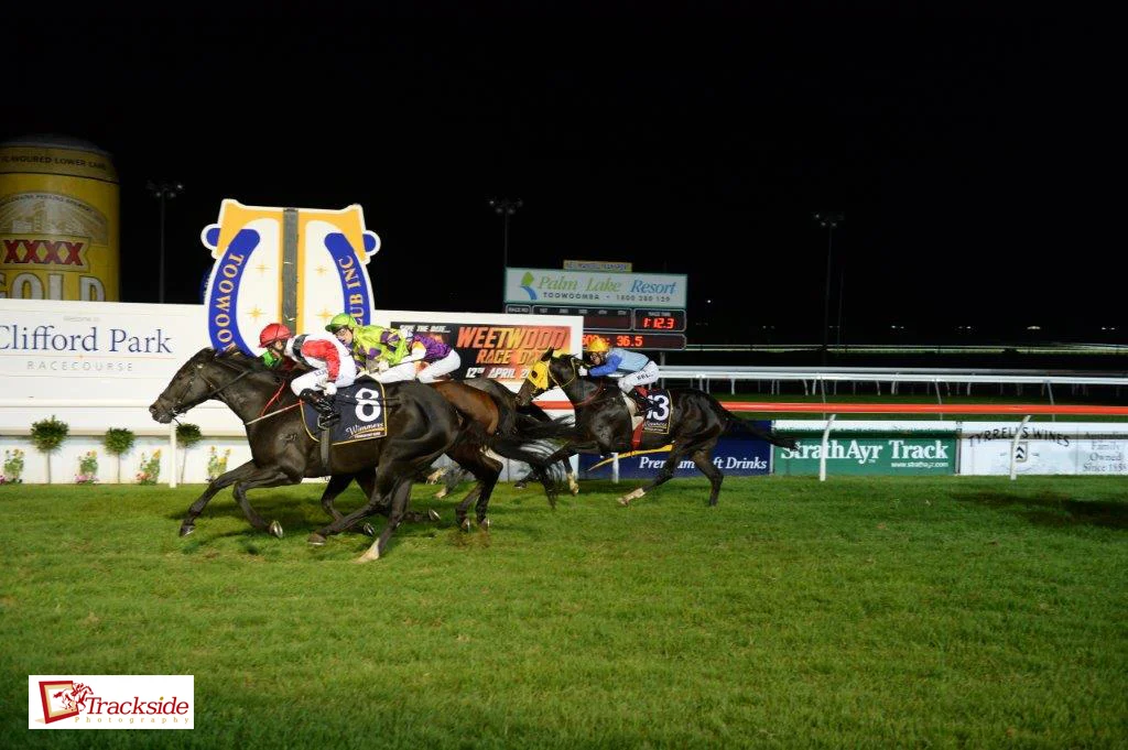 Image courtesy Trackside Photography - Kevin Kemp provided the Quinella in the 2014 Weetwood Hcp with Typhoon Red and Kempelly.