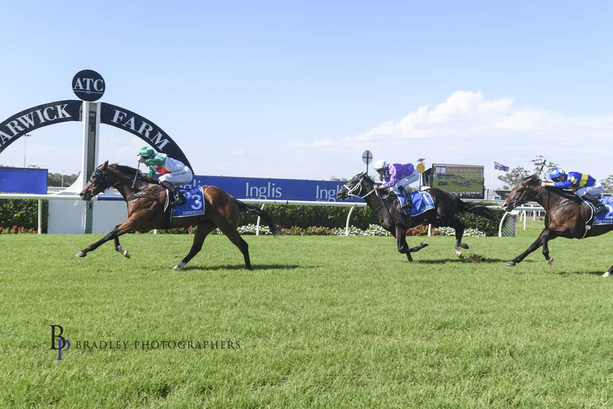 Image courtesy Bradley Photographers - Castelvecchio comes from last to win the inaugural Inglis Millenium at Warwick Farm.