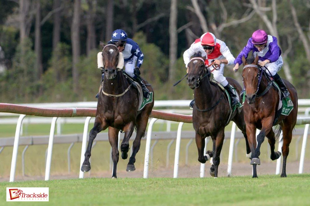 Image Courtesy Trackside Photography - Jon Grisedale and Dollson combine to win the Kempsey Macleay RSL Diggers Cup.