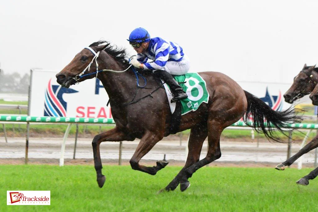 Image courtesy Trackside Photography - A mud bespattered Pennino with Matt McGillivray wins the Guineas.
