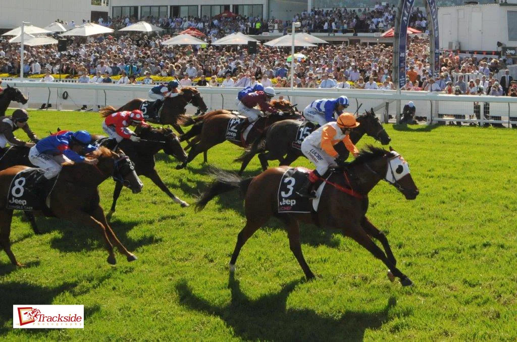 Image courtesy Trackside Photography - Le Chef (Luke Tarrant) triumphant in the 2015 Magic Millions Classic.