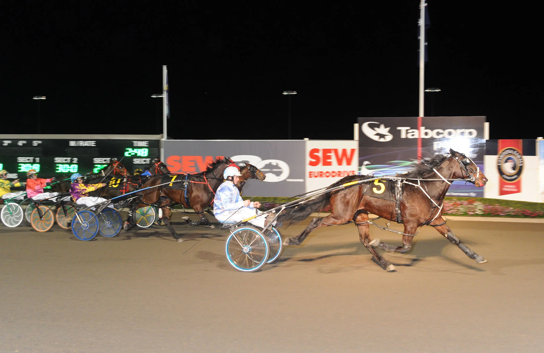 Image courtesy National Trotguide - California Sunset won 9 races for the Picker stable.