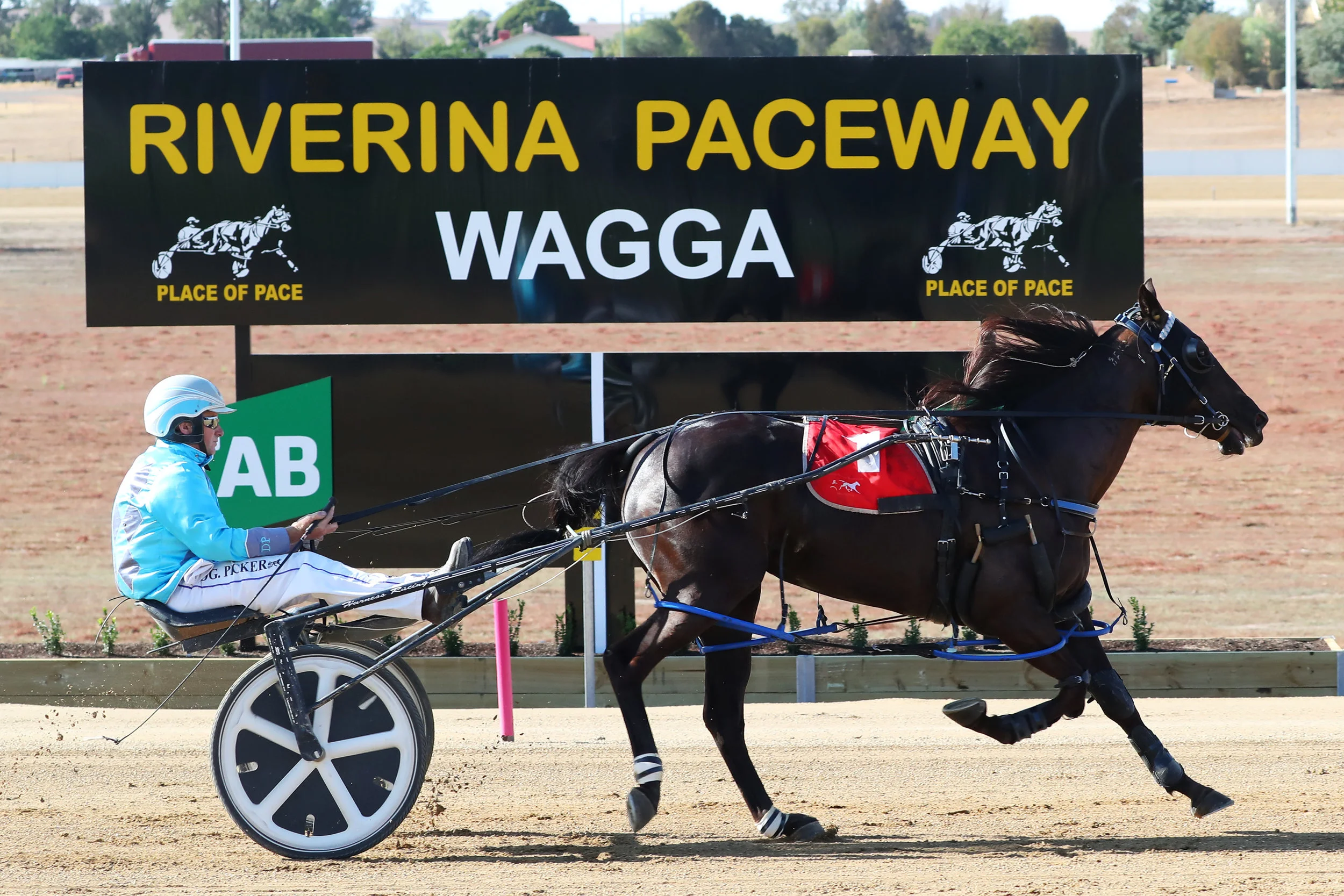 Image courtesy National Trotguide - Elle Yeah in one of ten wins for the stable.