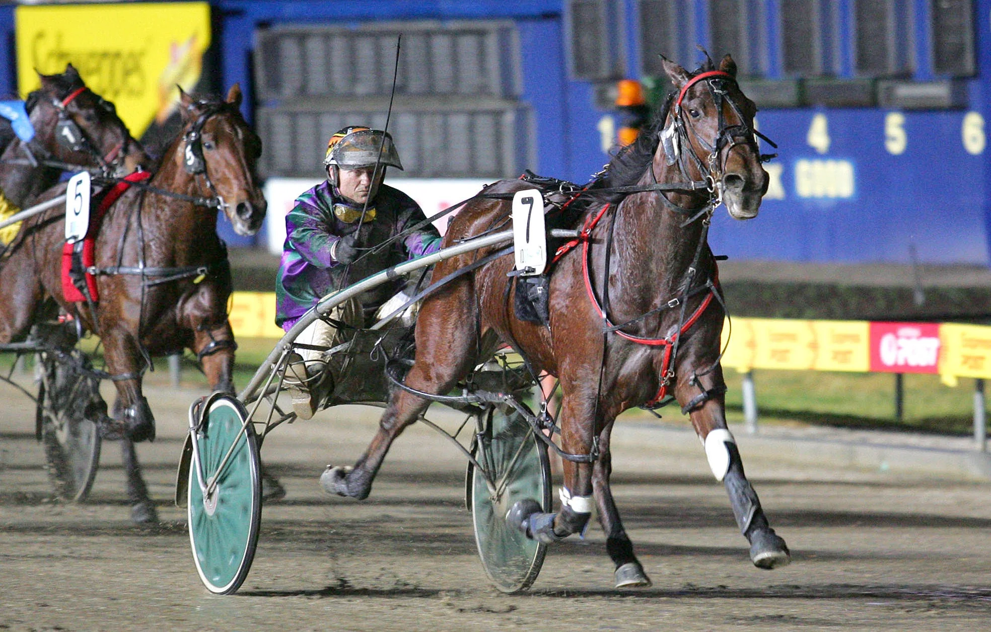 Image courtesy National Trotguide - Greg Kelly and Bruce win the Vicbred 2YO Semi Final.